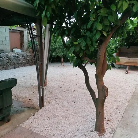 Dane * Medjugorje